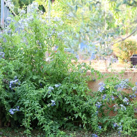 아파트 Lity Podglavica